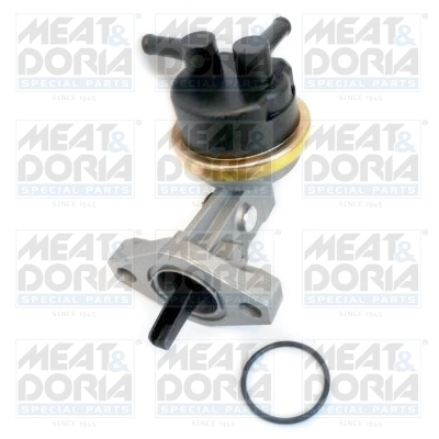 Fuel Pump